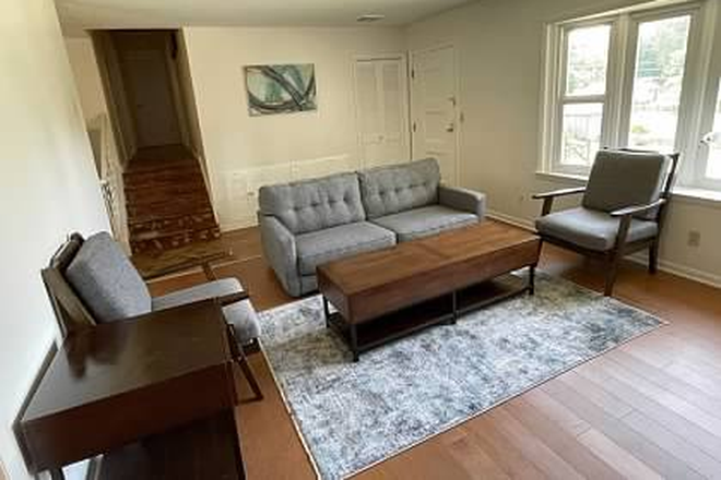 Living  room - Ardmore St House