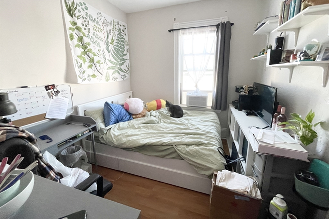 apartment - Umass/JFK/4bedrooms/1.5bathroom Apartments