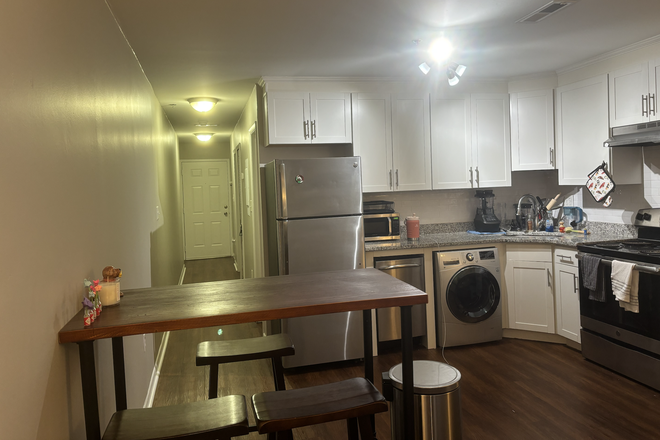 Kitchen/Living Area - 40 Bee Street Apartments (looking for a female roommate)