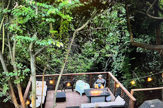 Backyard - Furnished One Bedroom in Redwood Heights District - Oakland
