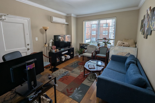 Living room (already furnished by me) - Cozy Furnished Apartment in Icon Downtown, great location close to campus + downtown