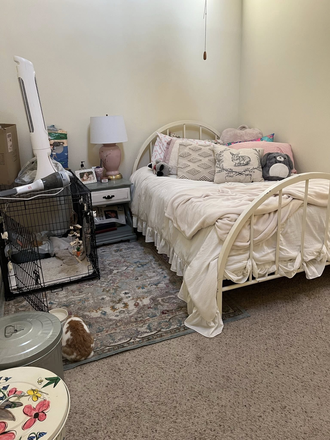 Bedroom - Loft Apartment-15 minute walk from center of campus