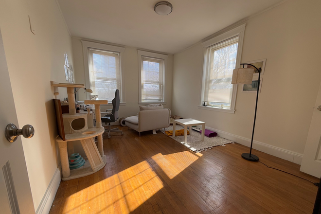 1 - JUNE 2025 - HUGE Brighton 1bed, HEAT/HW Includ., Cats allowed! Fitness Room, Laundry!