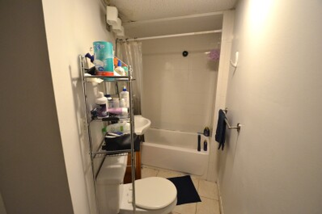 Bathroom - 3 Bed 1 Bath Apartment Split Style on Haviland St.