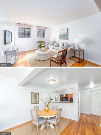 Living room, kitchen, entry - Spacious & Sunny 1BR near JHU/ MICA – 24/7 Gym, Cat-Friendly, In-Unit W/D, Bike Storage, Peaceful