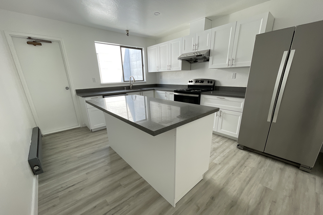 Kitchen - Modern remodeled 3 bedroom, 2 bathroom apartment near USF