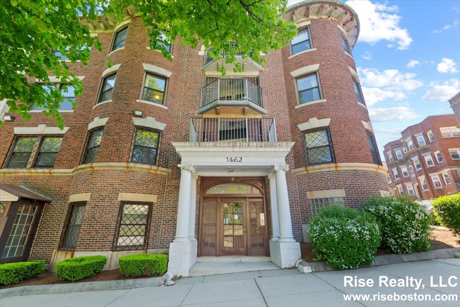 Exterior - September 1! Gorgeous sunny 3 bed right on Comm Ave Apartments