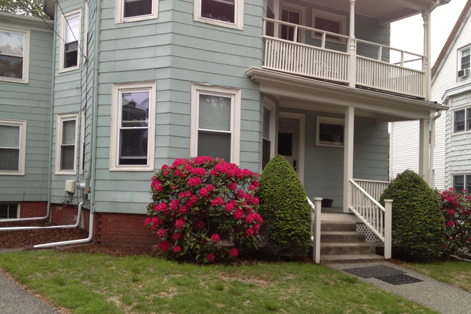 front house - 3 Bed Tufts area Apartments