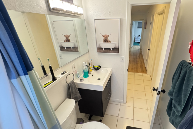 Bathroom - 3 Bedroom 1 Bath House