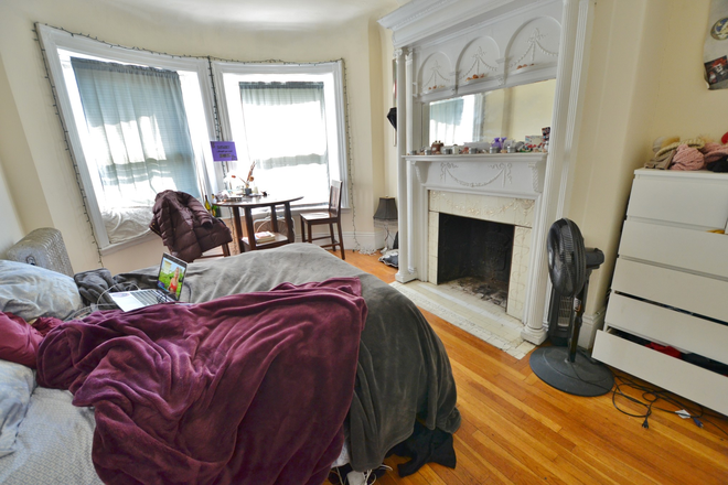 . - 4 bedroom 13 Haviland St-  Move in 9/1/26 Apartments