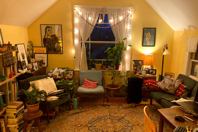 Living room - Lovely 1BR apartment in conveniently located Cambridgeport home
