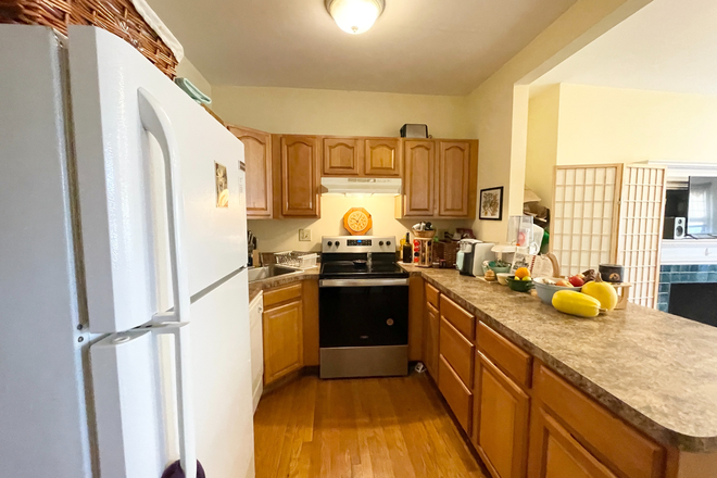 Kitchen - Apartment in Kenmore - Great Location, updated kitchen, open layout