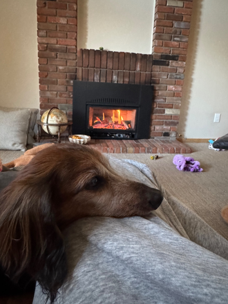 Fireplace and my puppy - Private room with MSU student House