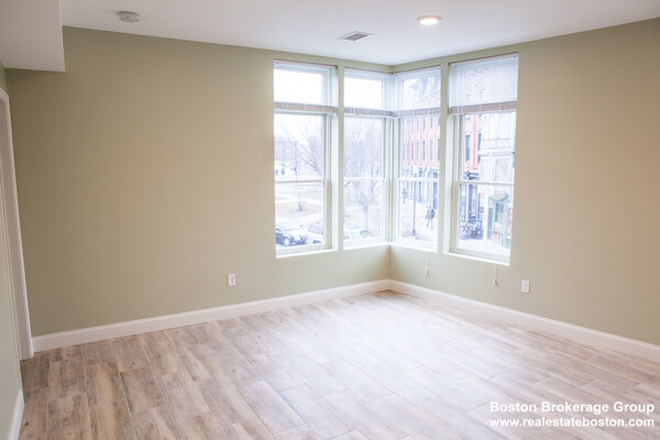 Studio - Spacious Studio in Roxbury