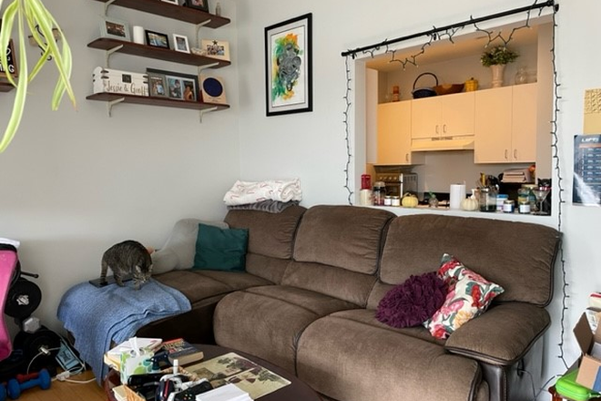 a - Nice 1 bedroom Apartments