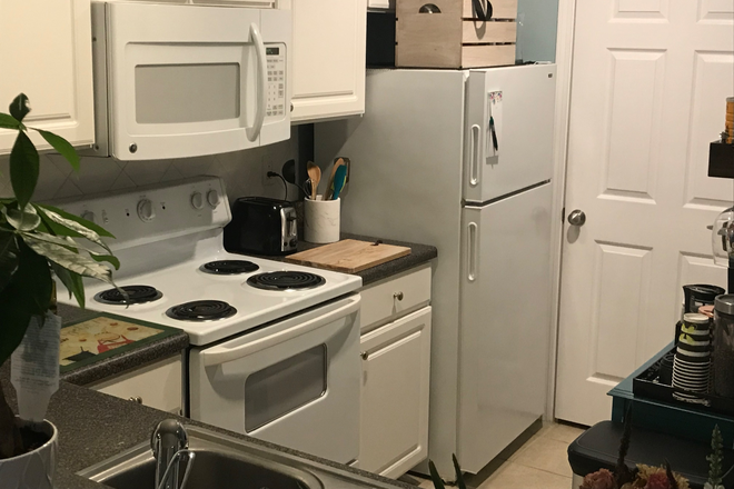 Kitchen - Beautiful 1 bd condo and desirable location