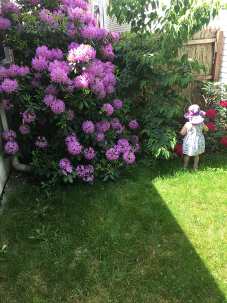Exclusive side yard, master bed view - 3 bed, 2 Full Bath. No fee. 9/1. Close to Sloan. Quiet neighborhood Condo