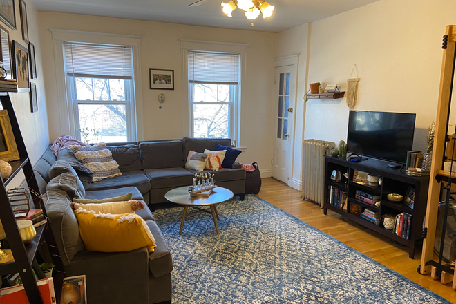 living room - Sunny Brighton 2 bed for 8/1 - NO FEE! Apartments