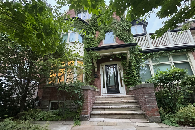 Heritage home, tree-lined street, lush front garden - Not like a basement at all! Great studio apartment, beautiful neighbourhood