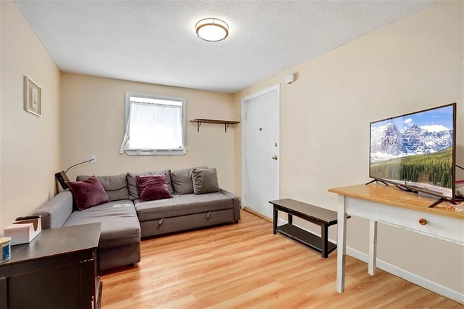 Living room - Beautiful Union Sq 1BR with Parking Condo