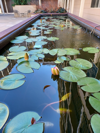 South Capitol Pond - On Campus, 2 Bedroom 2 Bathroom, courtyard, garage parking, secure building Apartments