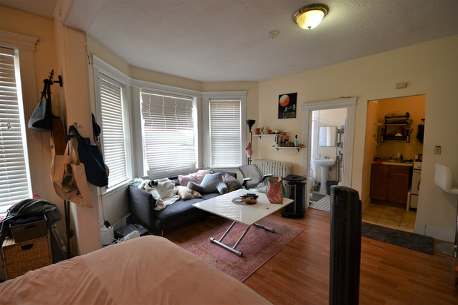 20 Hemenway St - Spacious studio Available 9/1/24 Apartments