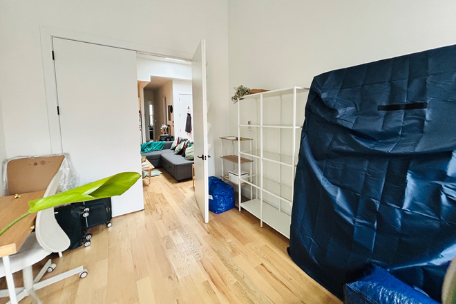 Bedroom leading into living room - Sunny Large Bedroom for rent in furnished 4b2ba, near J line in Bushwick Duplex