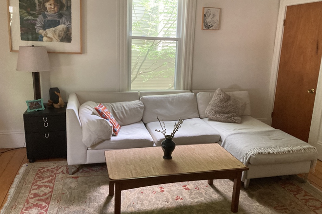 Living room - Charming 1-bedroom Harvard Square