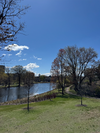 Apartment Complex fronts the Fens - 1 Bedroom in Fenway (Northeastern)