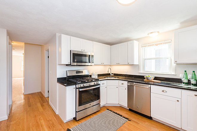 Kitchen - Amazing 4 Bed 2 Bath Available 6/1/2025 Apartments