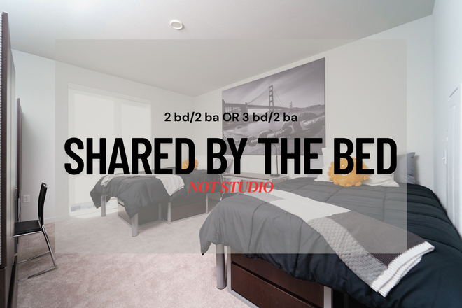  - Berkeley's NEWEST Secret Retreat! Experience The Lair! Deluxe Furnished Brand New Apartments! Near U
