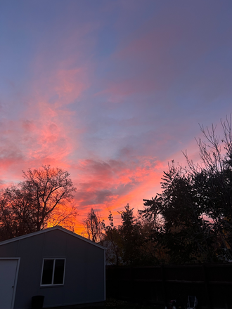 backyard - 4 bed, 2 bath home