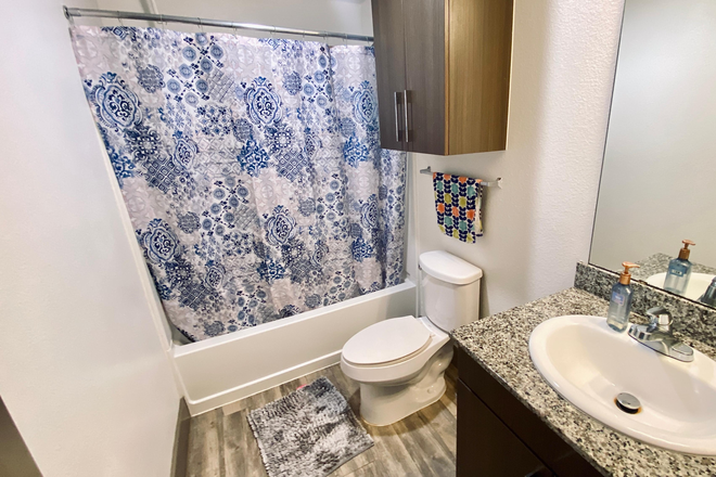 Bathroom - Holleman Crossing (College Station) Apartments