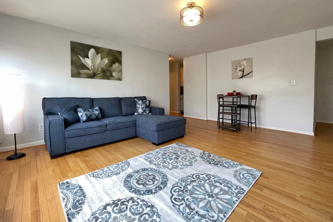 Living room - Spacious 2Br/2Ba Dual entrance Condo private parking in spacious NW DC neighborhood