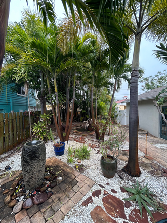 backyard - Magnolia Manor House