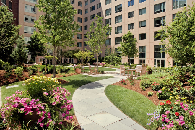 courtyard - Fenway Triangle Apartments