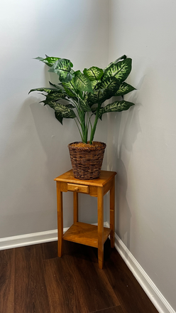 Decoration - Affordable Student Living Close to Campus Duplex