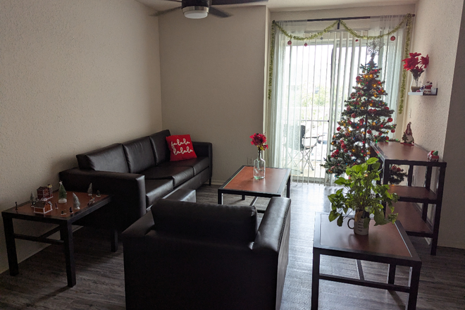 It will be empty when you arrive, but you can keep the Christmas decor - 1 Female 2x2 Unit Available at The Pointe at Central Apartments