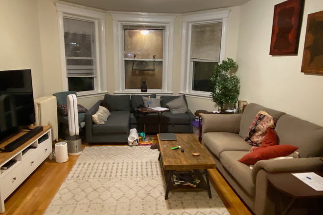 living room - Top floor Coolidge Corner 2 bed for 9/1 Apartments