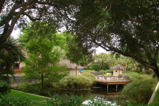 backyard with pool/sauna/jacuzzi - Land's End - excellent living space/proximity to FAU Townhome