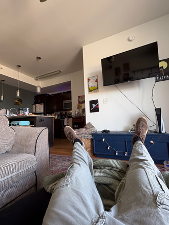 Living room - Shockoe valley view Apartments