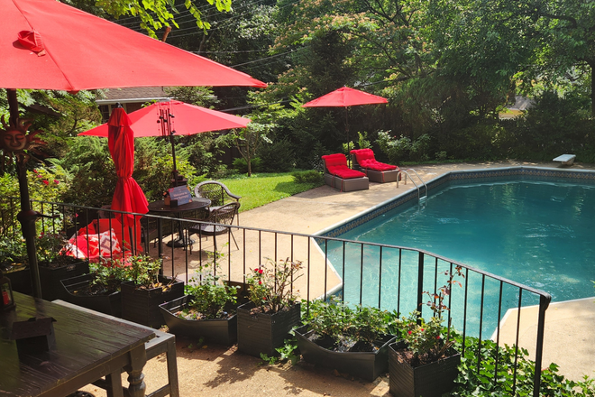 Garden suite's garden with pool. - FURNISHED GARDEN SUITE, private entrance/private bath in SFH with pool (Chevy Chase/Kensington MD) House