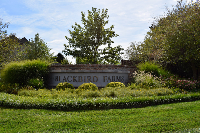 Outside - Spring 2026 One room, shared bath House