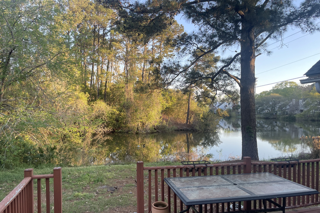 Back porch w BBQ and firepit - Bedroom for rent, 10 min to campus House