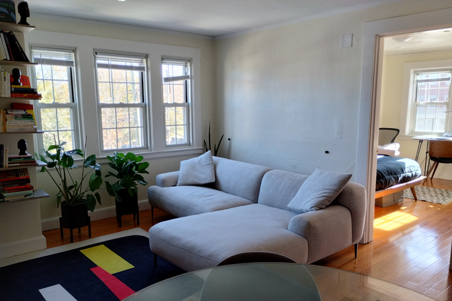 Living/Dining room - 1 bd apartment - Flexible Dates Sublet 7/1 - 8/31
