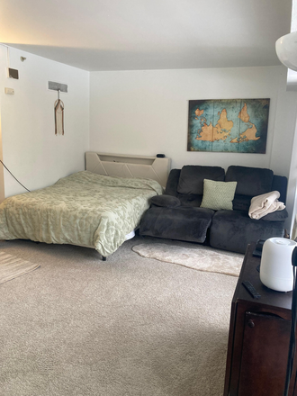 Studio - Subletting Furnished Studio from March to May Apartments