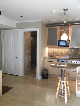 Studio - Lovely studio in Back Bay close to Copley Condo