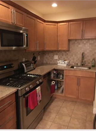 Kitchen - 300 Tremont St Condo