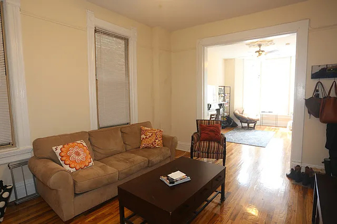 Living room / common space - Open Room in Lincoln Park Apartment