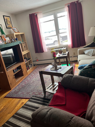 Living room - Furnished two-bedroom apartment - one bedroom now available